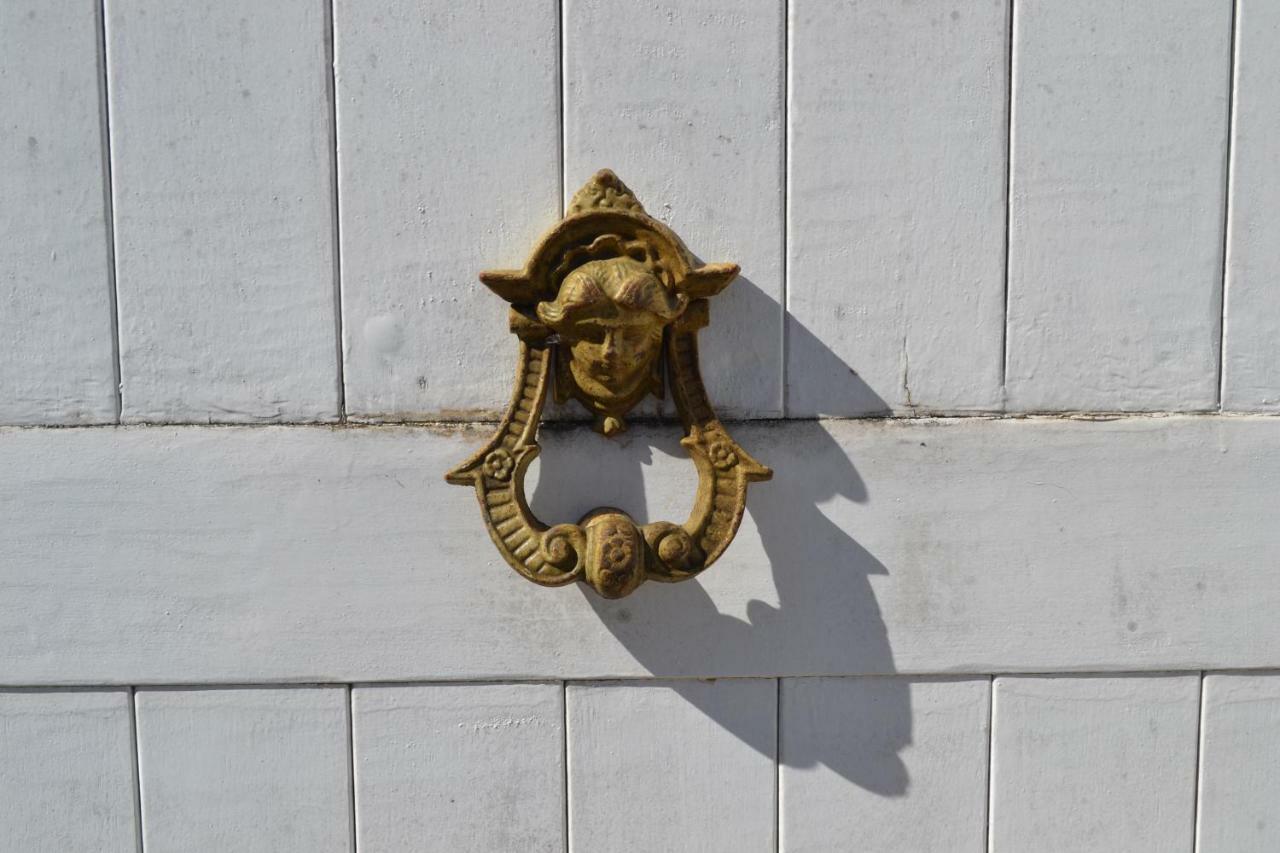 La Maison Des Buis Falaise  Εξωτερικό φωτογραφία